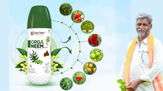 kay bee orga neem 10000 ppm