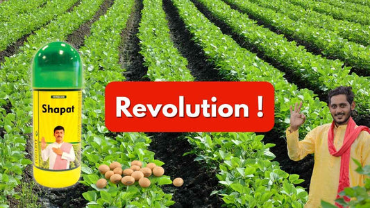 Revolutionize Your Soybean Crop Protection with Shapat: A Powerful Herbicide with Dual Active Ingredients