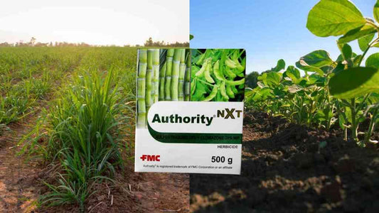 A Powerful Herbicide for Broadleaf and Grassy Weed in Sugarcane and Soybean