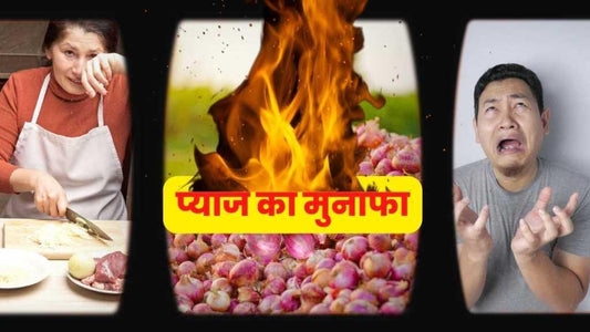 How to earn profit from onion farming?