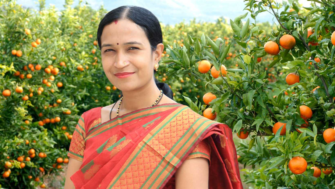 Orange Orchards Unleashed: Defeating Fruit Flies and Boosting Profits with Pheromone Power