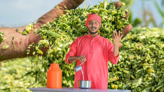 Should Farmers suse Silage Culture?