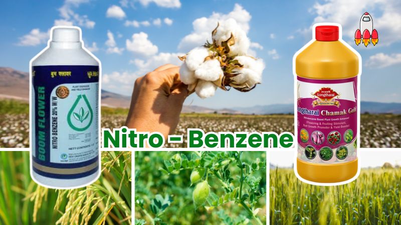 Boost Your Cotton, Wheat, Paddy, and Chickpea Yields with Nitrobenzene: A Guide for Indian Farmers