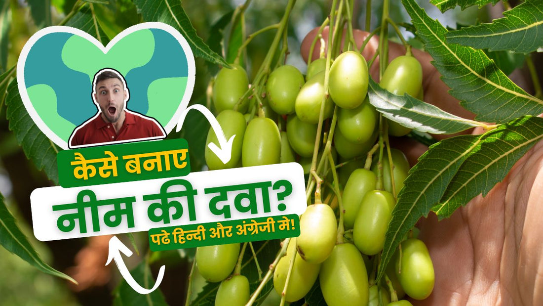 Azadirachtin from Neem Seeds: A Boon for Indian Farmers