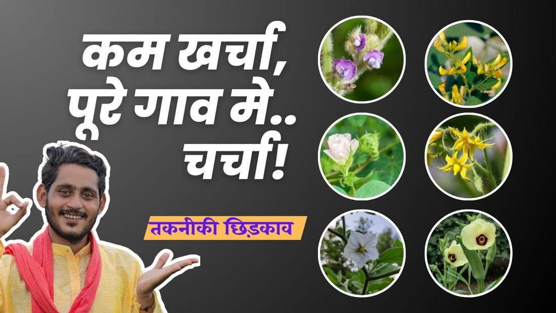 फसल मे फूलों और फलों की संख्या कैसे बढ़ाए?