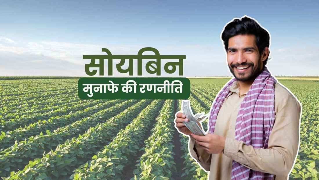 सोयाबीन फसलसे कमाए भरपूर मुनाफा!