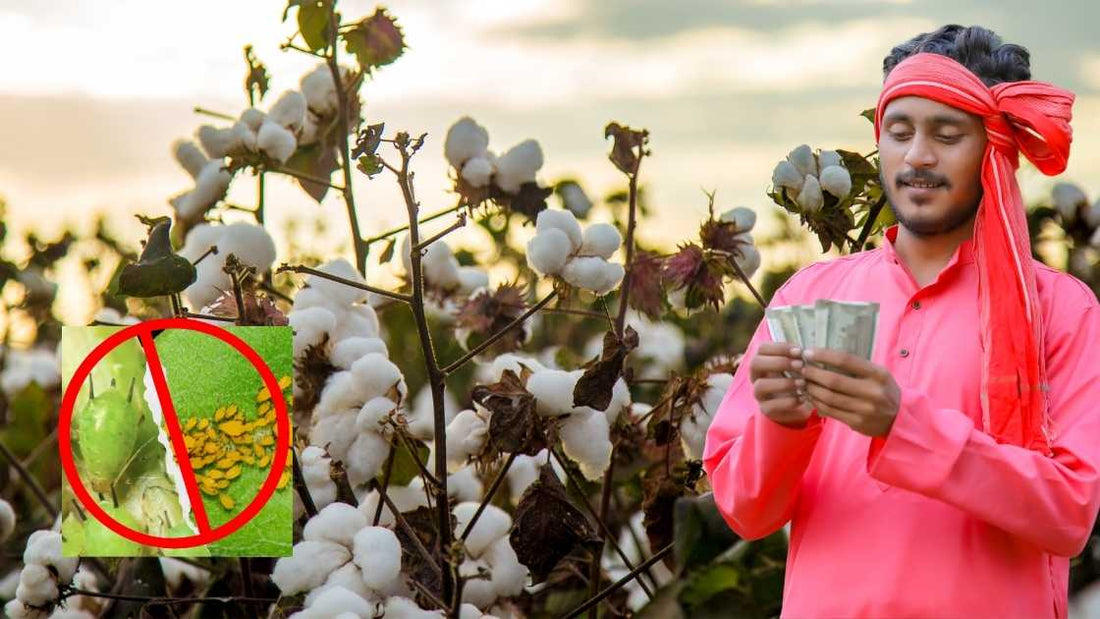 sucking pests can suck farmer's profits. prevention is better than cure. 