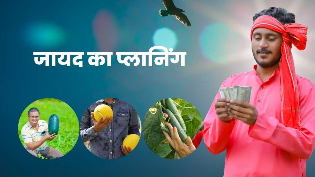 जायद में मुनाफे का प्लानिंग!