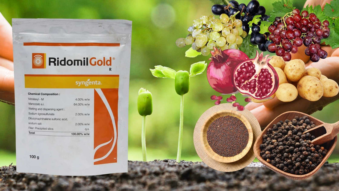 Syngenta Ridomil Gold Fungicide