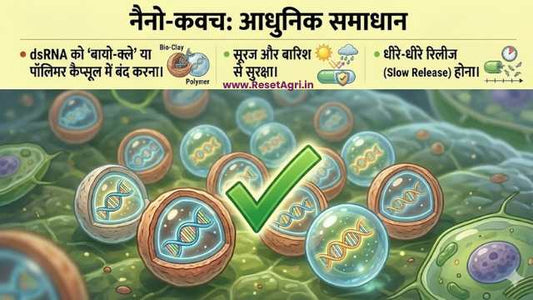 अब जहरीली दवाए छिड़कने की दिन खत्म होने वाले है!