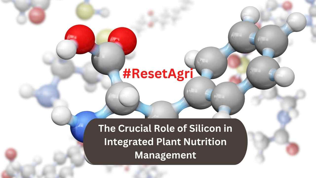 The Crucial Role of Silicon in Integrated Plant Nutrition Management