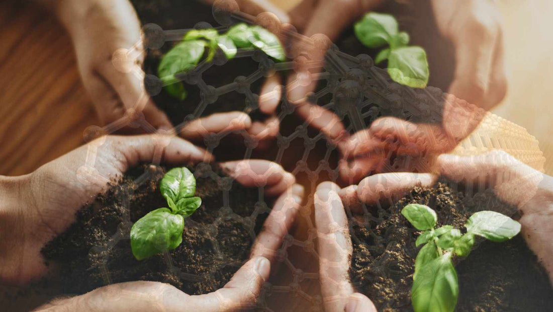 carbon cultivation