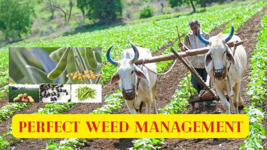 perfect weed management