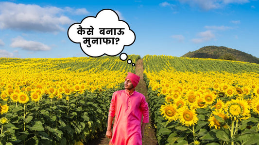 Sunflower Farming in India: Is it Profitable?