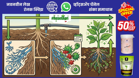 मायकोरायझा व ट्रायकोडर्मा एकत्र द्यावे की नाही?