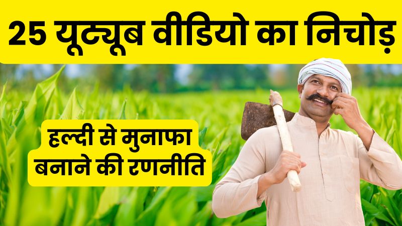 हल्दी से मुनाफा कैसे बनाए