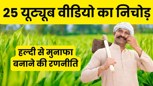 हल्दी से मुनाफा कैसे बनाए