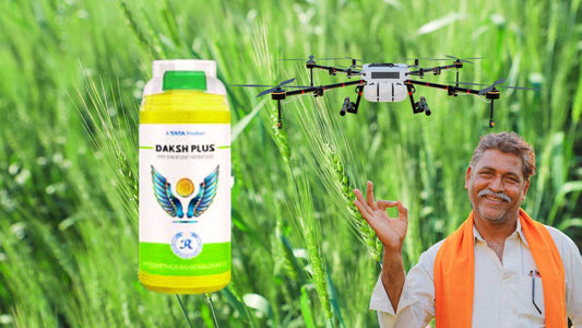 Controlling Weeds in Wheat Crops with Daksh Plus from Tata Rallis