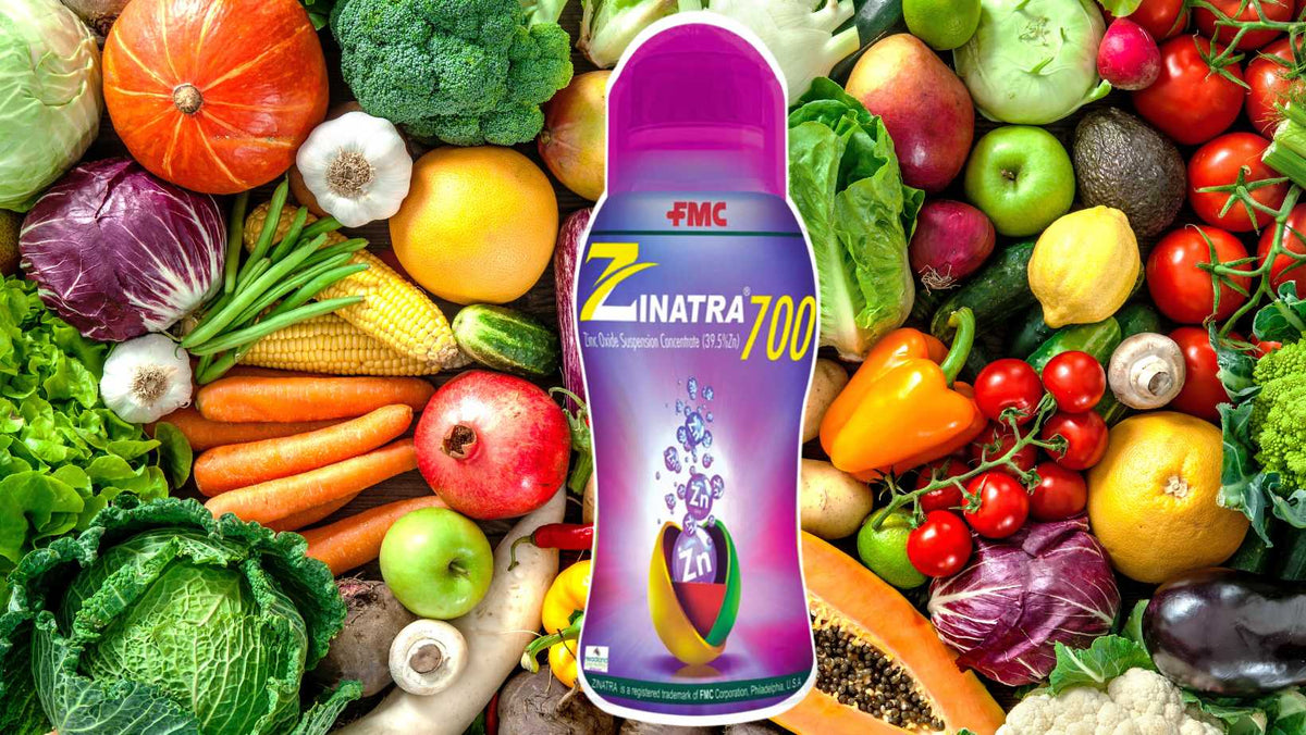Unveiling the Power of Zinc in Crop Nutrition: A Solution for Sustaina ...