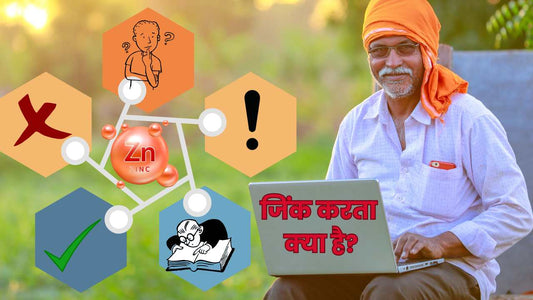 फसल मे जिंक क्या क्या काम करता है?