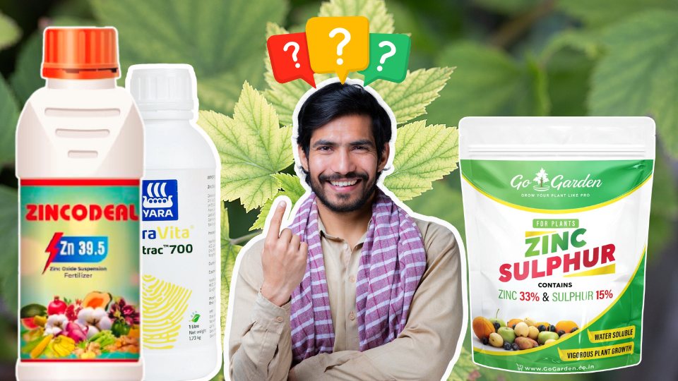 Which Zinc fertilizer should indian farmer choose?