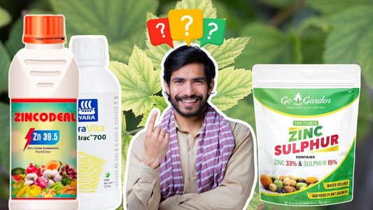 Which Zinc fertilizer should indian farmer choose?
