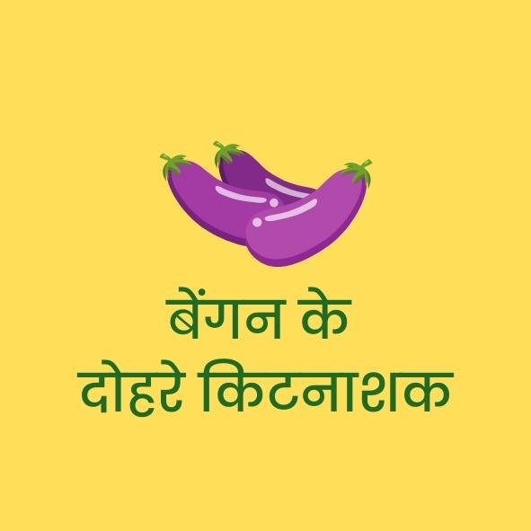 बेंगन के दोहरे कीटनाशक