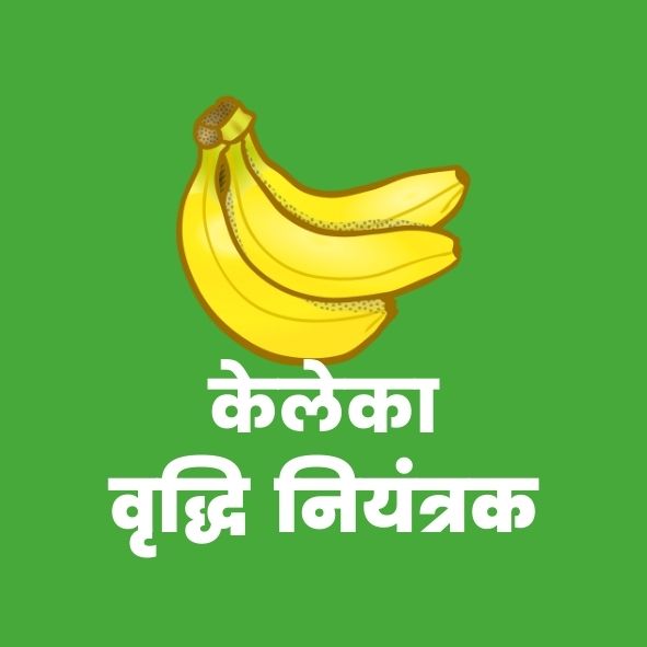 केले का वृद्धिनियंत्रक