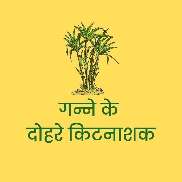 गन्ने के दोहरे किटनाशक