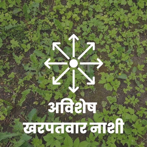 अविशेष  खरपतवारनाशी