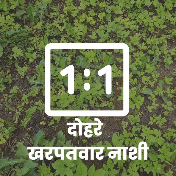 दोहरे खरपतवारनाशी