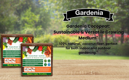 Gardenia Amazon Brand