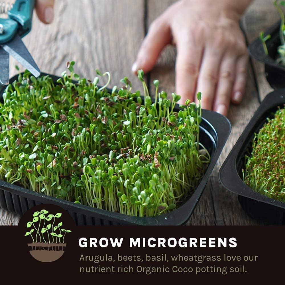 cocopeat for microgreens