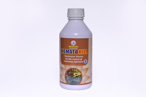 यूनिवर्सल बायोकॉन नेमाटोकिल पेसिलोमाइसेस लिलासिनस और अन्य फंगस का एडवांस स्ट्रेन सस्पो-इमल्शन फॉर्मूलेशन में उपलब्ध है नेमाटोकिल जड़ों पर आक्रमण को रोकता है, 1 लीटर, 1 का पैक