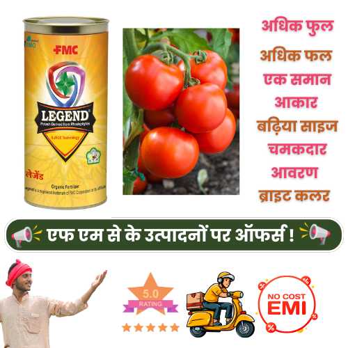 fmc legend for tomatoes with long shelf life