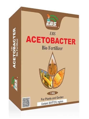 EBS® एसीटोबैक्टर जैव उर्वरक सभी फसलों और पौधों के लिए (1 किलो (1 का पैक))