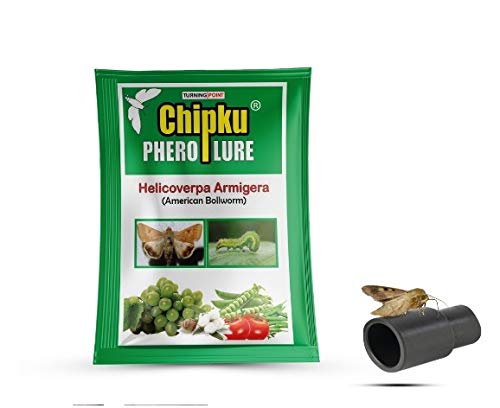 Pheromone lure for helicoverpa armigera