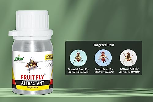 Green Revolution: Your Secret Weapon Against Fruit Fly Devastation – Now with Amazon's Incredible Offers!
