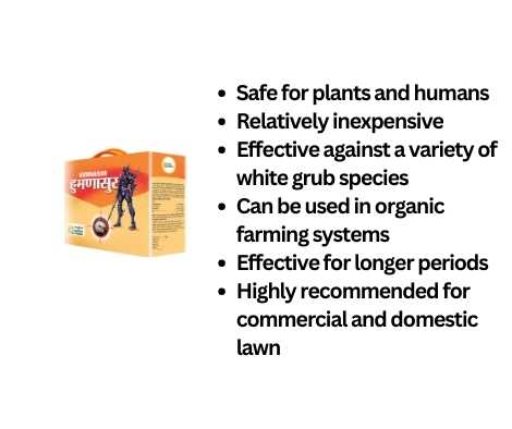 entomopathogens are safe, eco friendly, economical and organic