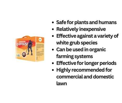 entomopathogens are safe, eco friendly, economical and organic