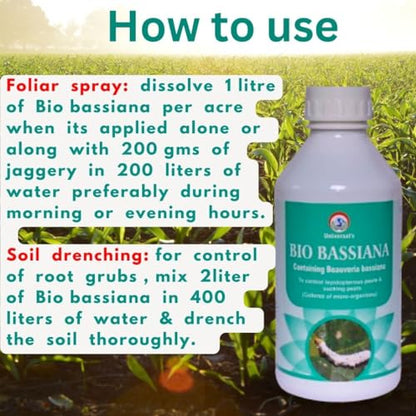 Bio bassiana contain spores of Beauveria bassiana, a naturally occurring entomopathogenic fungus that infects insect pests.