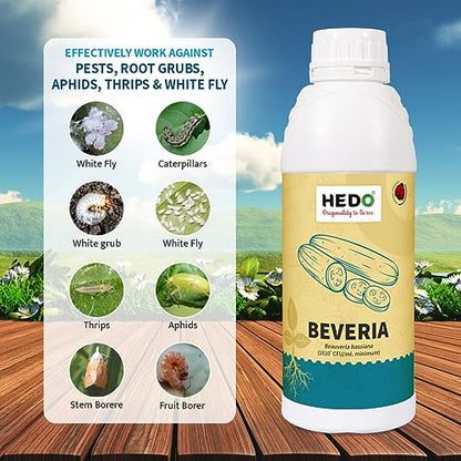 HEDO ब्यूवेरिया बेसियाना (1x10^8 CFU/g) बायो-ऑर्गेनिक (1L) लिक्विड पौधों के लिए एफिड्स, थ्रिप्स और व्हाइटफ़्लाइज़ को नियंत्रित करने के लिए