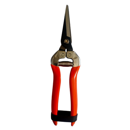 Yuvcon Pruner Snips Scissor Stainless Straight Blade Fruit Snips Non-Slip, Compact Pocket Friendly Fruit Snip, Harvesting Herbs, Fruits or Vegetables