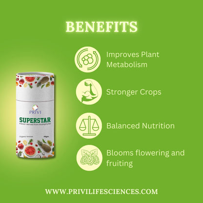 Superstar| Potash fertilizer derived from Rhodophytes| Natural Bioactive Molecules