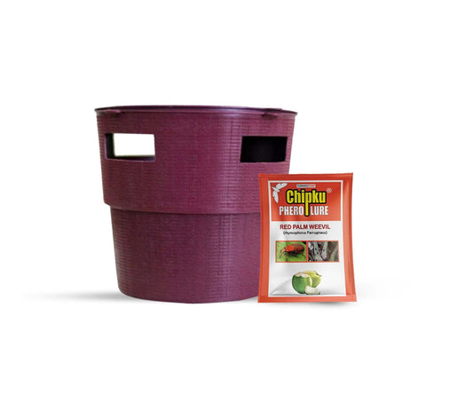 Red Palm Weevil Pheromone Lure