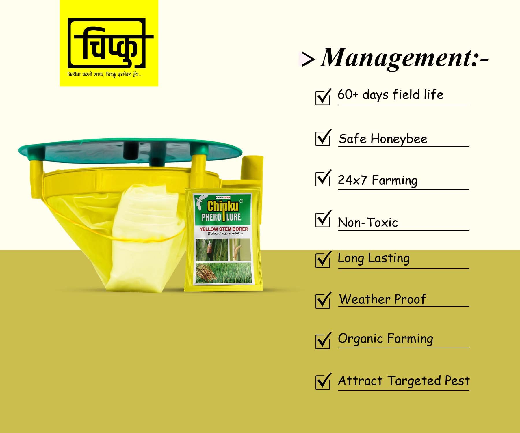 Yellow Stem Borer Pheromone Lure Management