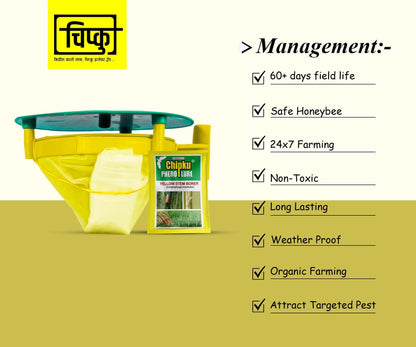 Yellow Stem Borer Pheromone Lure Management
