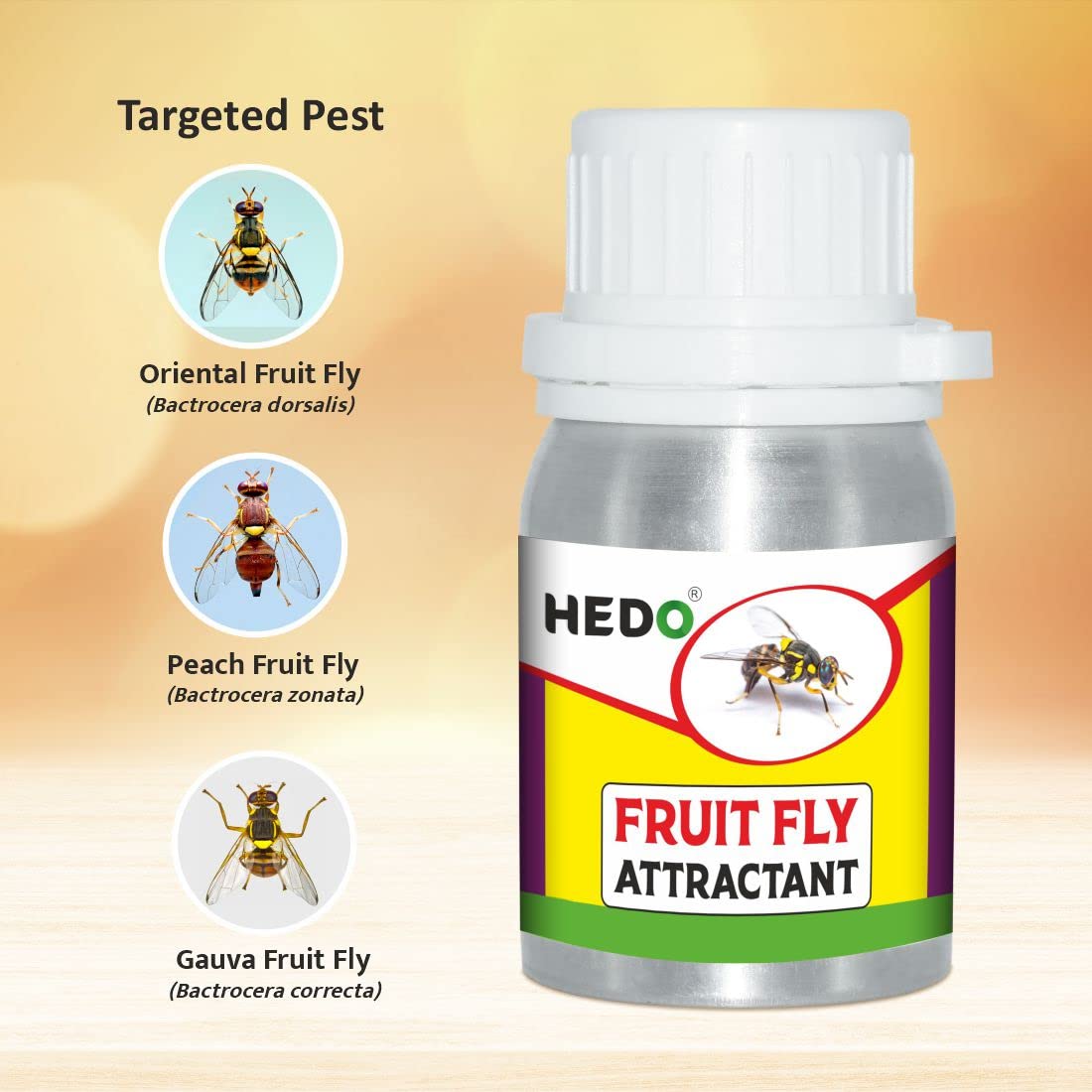 HEDO फ्रूट फ्लाई ट्रैप अट्रैक्टेंट 50ml (मिथाइल यूजेनॉल) बैक्ट्रोसेरा डोर्सलिस 1 का पैक