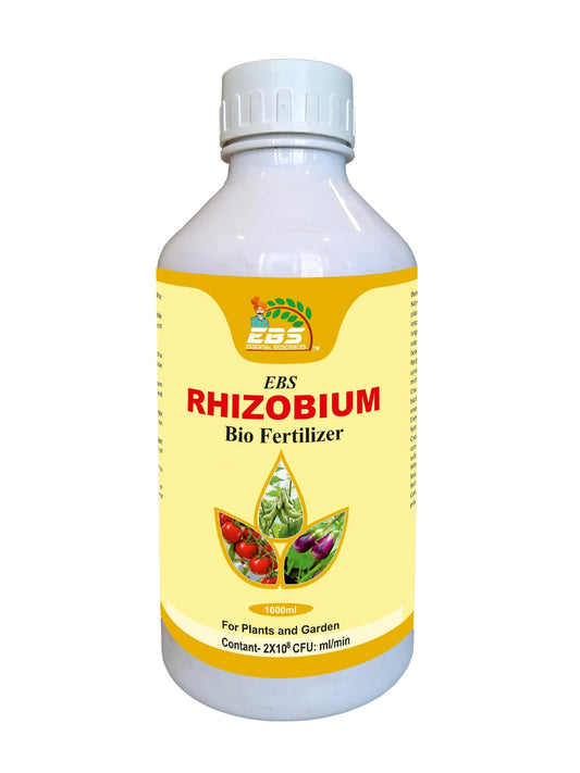 EBS Rhizobium Spp Bio Fertilizer | Nitrogen Fixing Bacteria for Plants | (5 X 10 * 8 Cfu/Ml Min) | For Home Garden, Terrace Garden, Nursery, Greenhouse & for Agricultural Purposes (1000ml x 1)