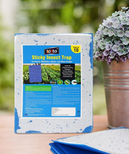 Kitto Blue Non-Toxic and Chemical-Free Fly Insect Trap Pads for Insects, Whiteflies, Aphids, Leaf Miner, Thrips (Pack of 10)